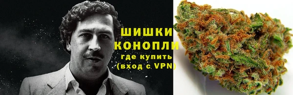 PSILOCYBIN Алексеевка